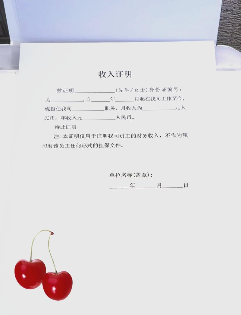 吉林代开收入证明的正确姿势：张会计的突围战